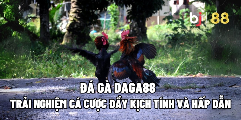 Đá gà Daga88